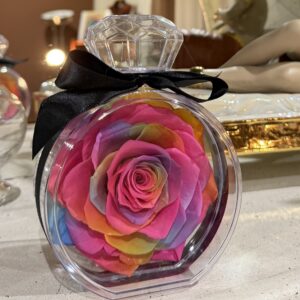 Rosa Preservada Arcoíris
