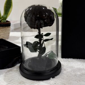 Rosa Eterna Negra