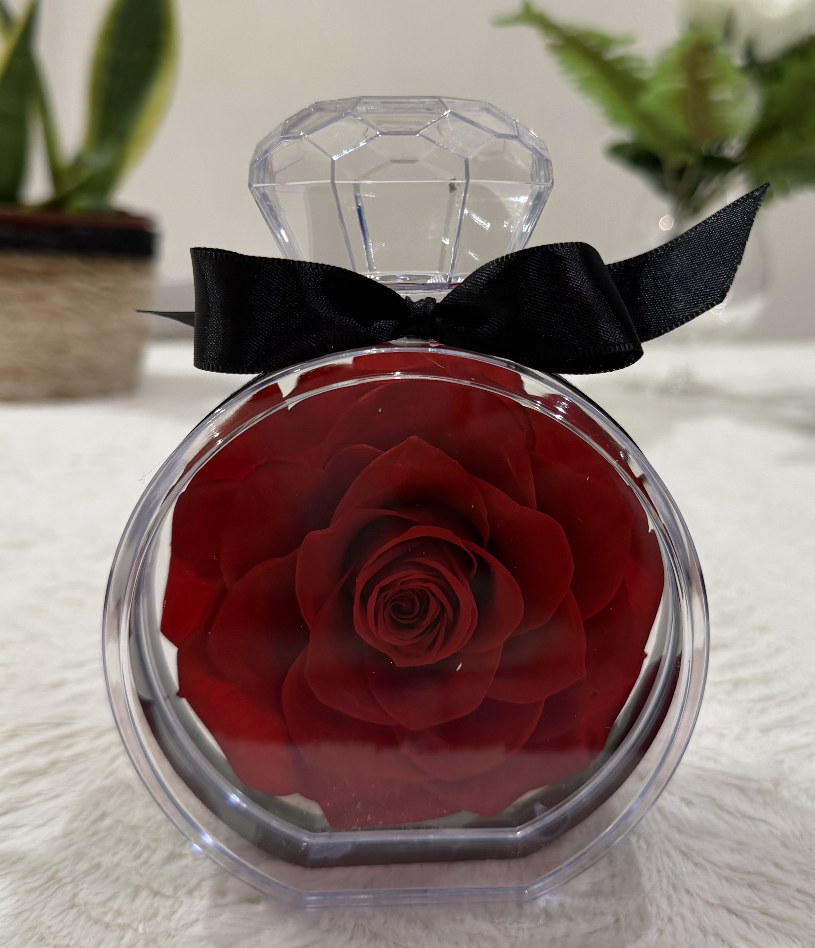 Rosa Preservada Roja Diamante