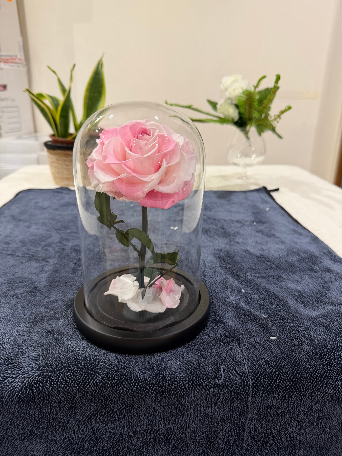 Rosa Preservada Rosa